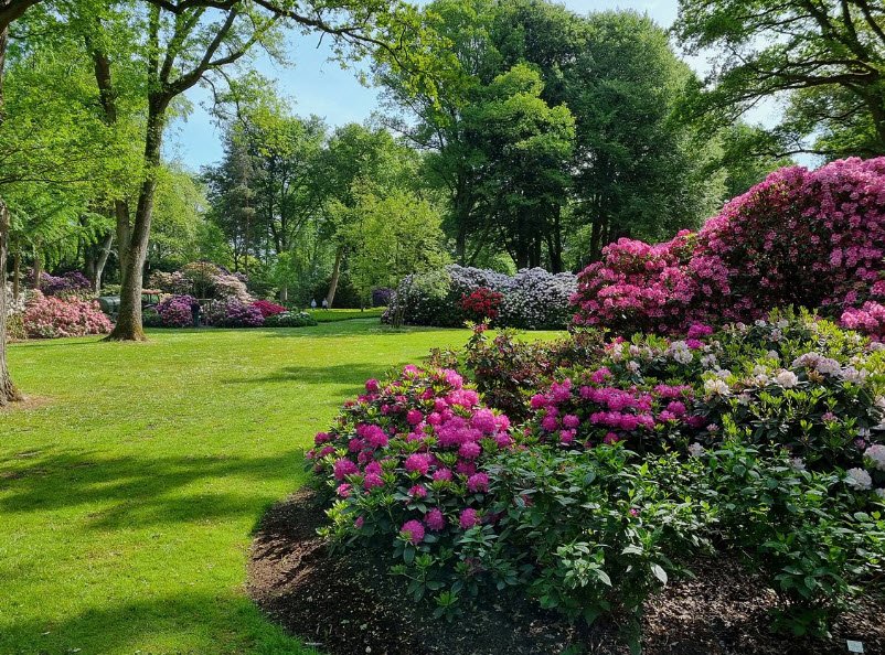 Rhododendron-Park Bremen, Germany